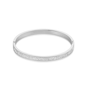 Image of coeur de lion stainless steel & crystals pavé crystal bangle